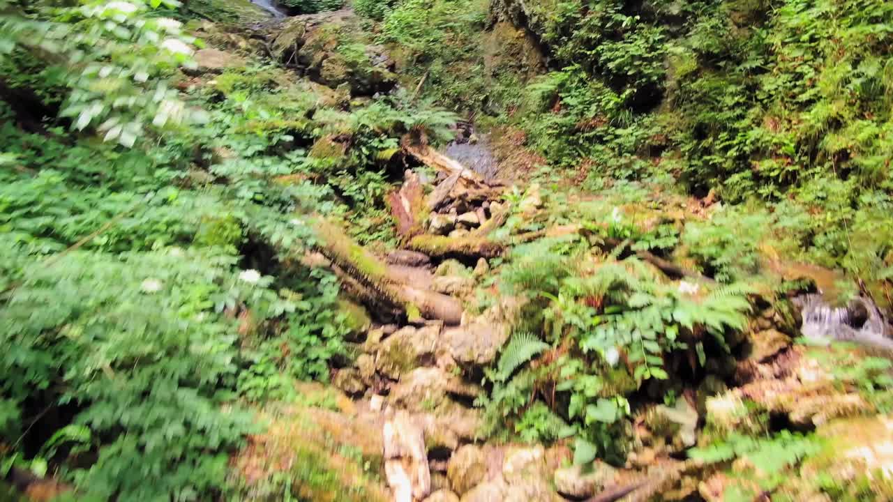 Medium wide angle dolly in drone shot of a stream, rocks, and fallen trees in canyon hudicev greben during the day
