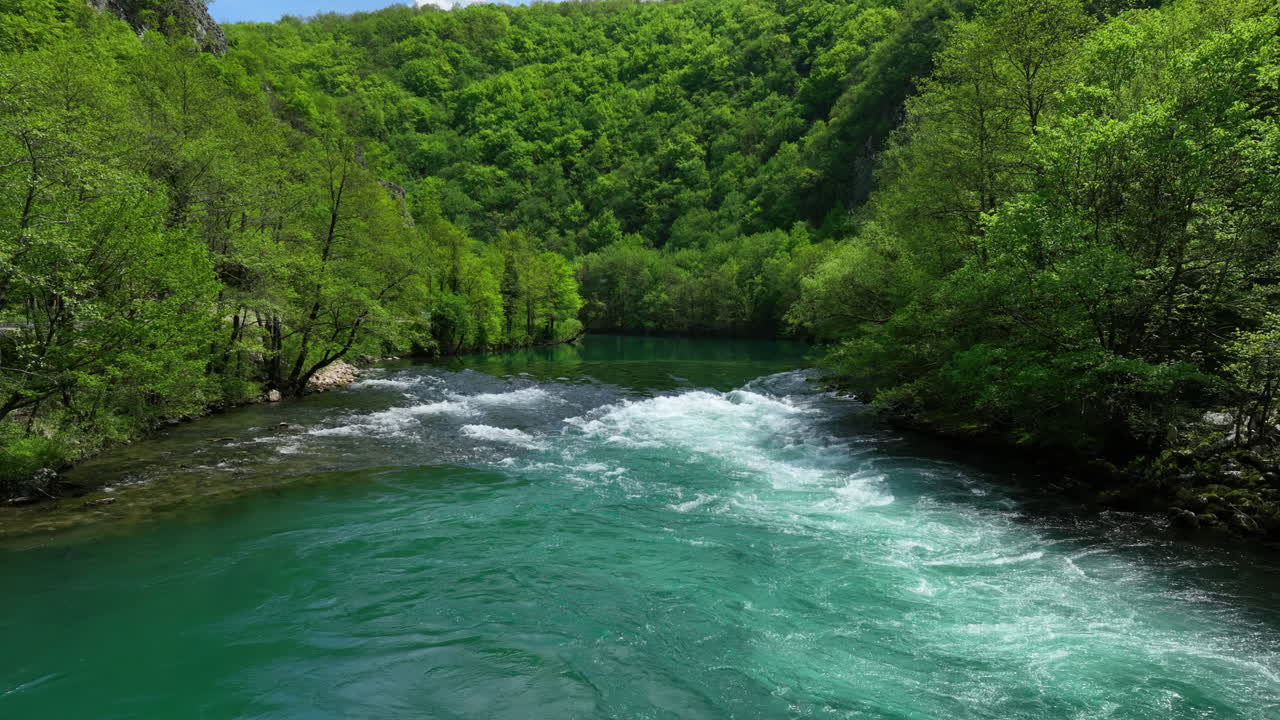 Ripresa aerea bassa di un fiume verde e limpido circondato da alberi rigogliosi e appena germogliati all'inizio della primavera, sotto un cielo con nuvole sparse