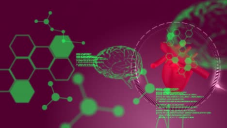 animación de fórmulas químicas y procesamiento de datos sobre el corazón humano