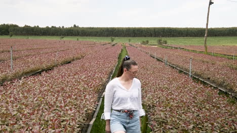 A-cute-Caucasian-woman-walks-among-eucalyptus-nurseries