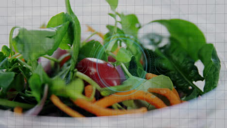 digital interface overlaying fresh salad with vibrant greens and vegetables on table
