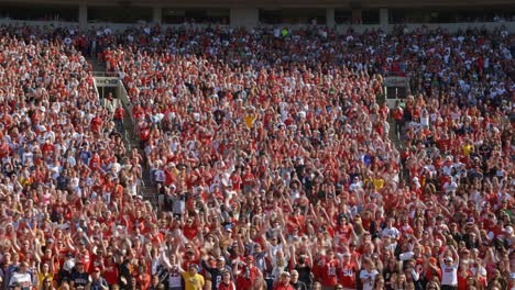 a sea of enthusiastic fans cheering in unison during a vibrant sporting event, creating an electric atmosphere filled with energy and excitement