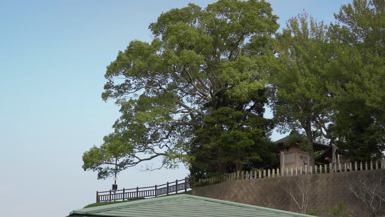 Japan's Chita City Souri Pond Aichiyosui Shrine