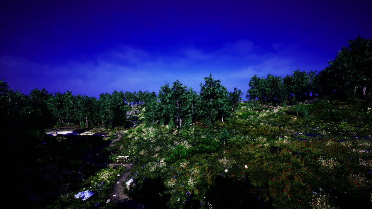 Vibrant forest landscape under a clear blue sky during daytime