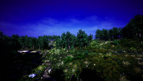 vibrant forest landscape under a clear blue sky during daytime