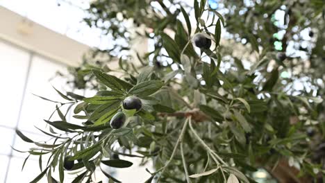 olivo realista artificial, planta con aceitunas en él