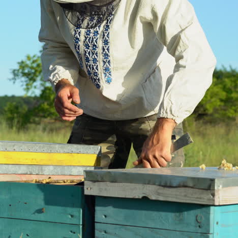 beekeeper is working with bees and beehives on the apiary. frames of a bee hive. apiary concept