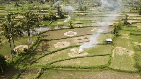 Tierras-De-Cultivo-De-Arroz-En-Asia---Toma-Aérea