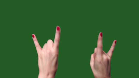 green screen. chromakey. hands at a rock concert. horns. that rocks.