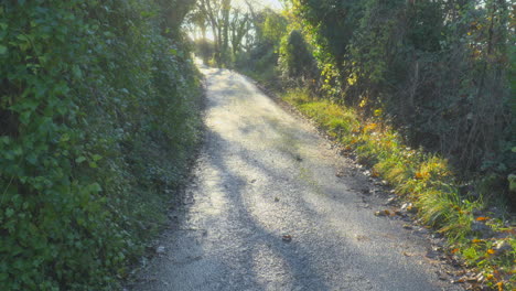 Deserted-English-country-lane-reveal-bathed-in-early-morning-autumn-sunlight