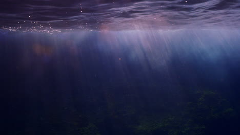 underwater surface shot in the mediterranean sea