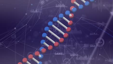 animación de la cadena de adn a través de una red de conexiones