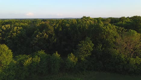 The-beautiful-Missouri-countryside-is-green-fields-as-far-as-you-can-see