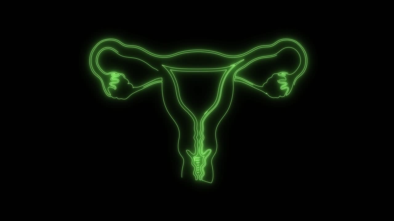 Animation du contour vert néon du système reproducteur féminin
