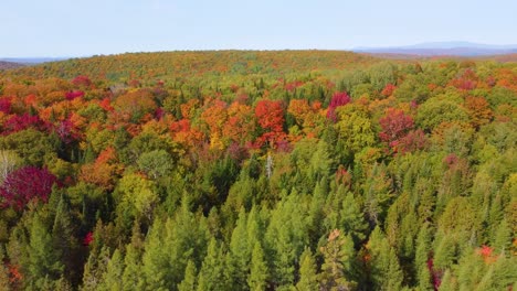 Wunderschöne,-Lebendige-Herbstfarben-Der-Bäume-In-Hügeligem-Land-Sind-Ein-Saisonaler-Genuss