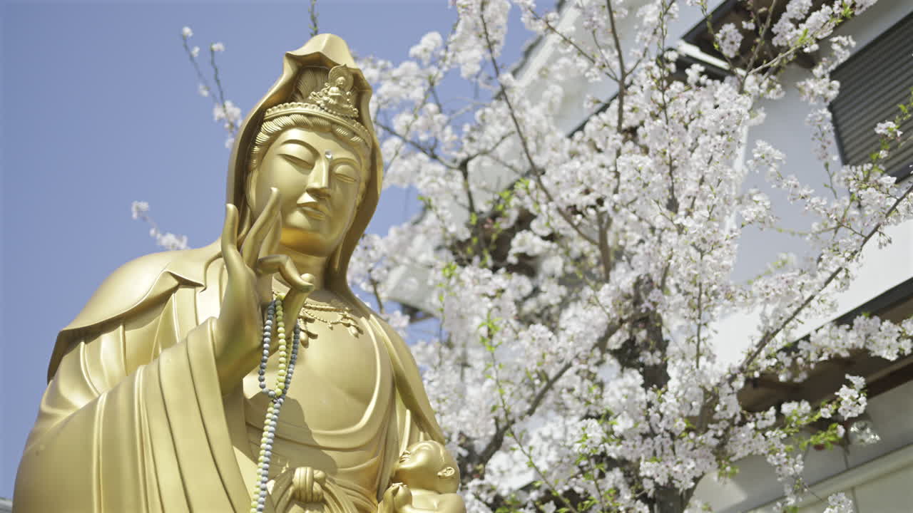 A majestic golden statue of a Bodhisattva stands gracefully in a peaceful garden surrounded by vibrant cherry blossoms during springtime. Fushimi Inari Shrine, Kyoto, Japan