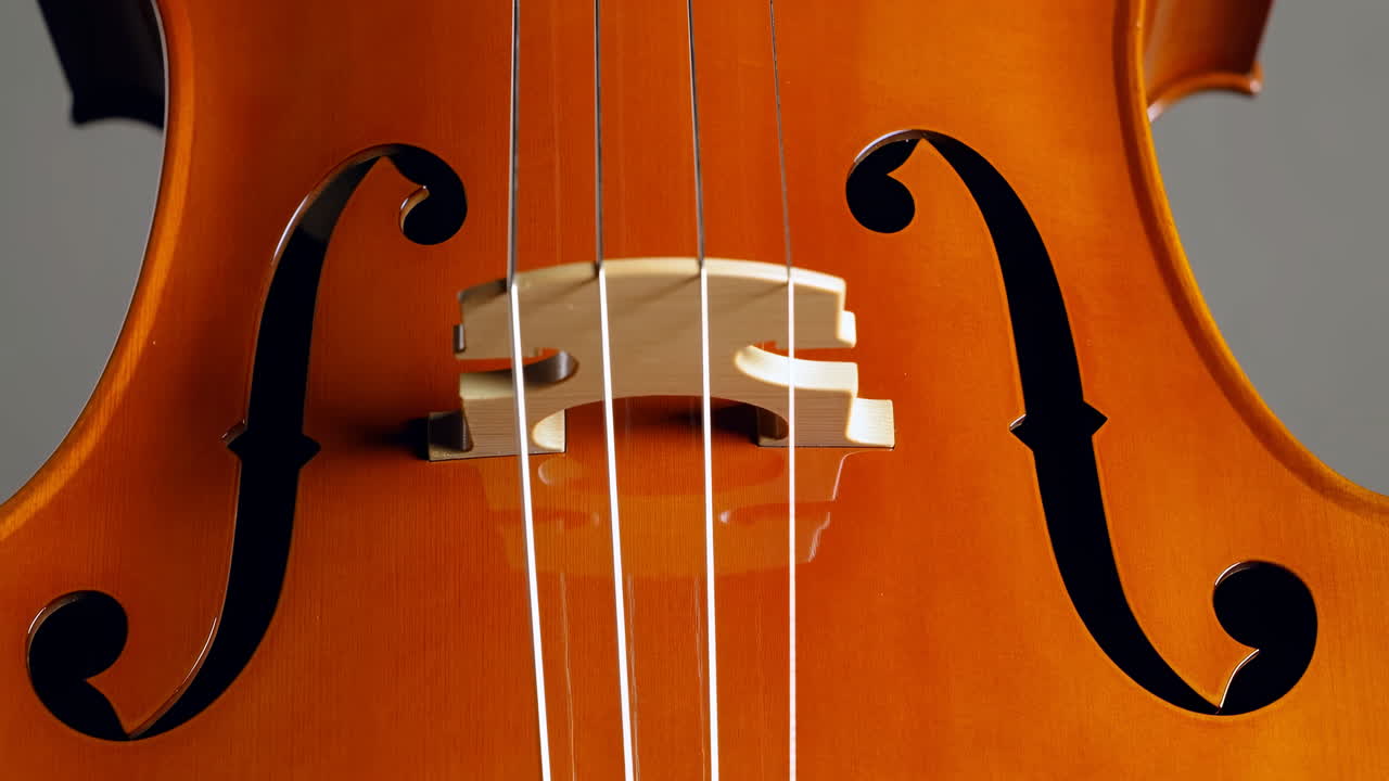 Primo piano del ponticello del violino e delle effe, calda vernice ambrata, corde tese, illuminazione da studio che rivela la venatura del legno.