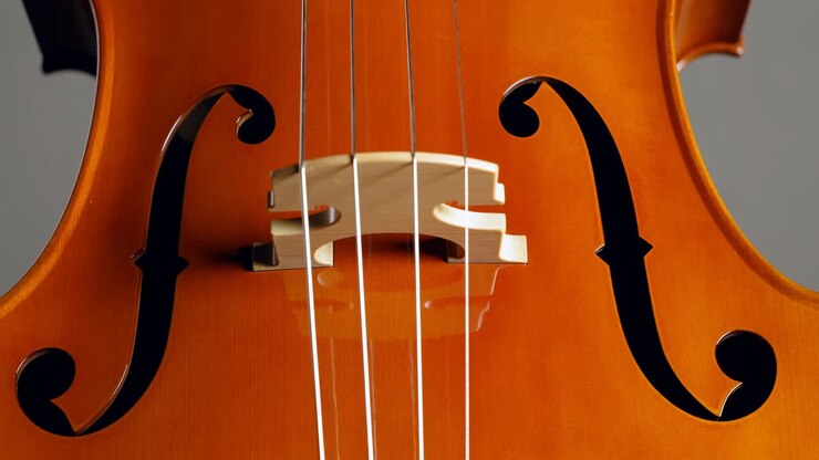 Primo piano del ponticello del violino e delle effe, calda vernice ambrata, corde tese, illuminazione da studio che rivela la venatura del legno.