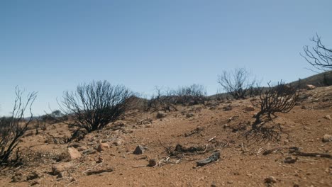 paisaje de parque quemado en tenerife, islas canarias