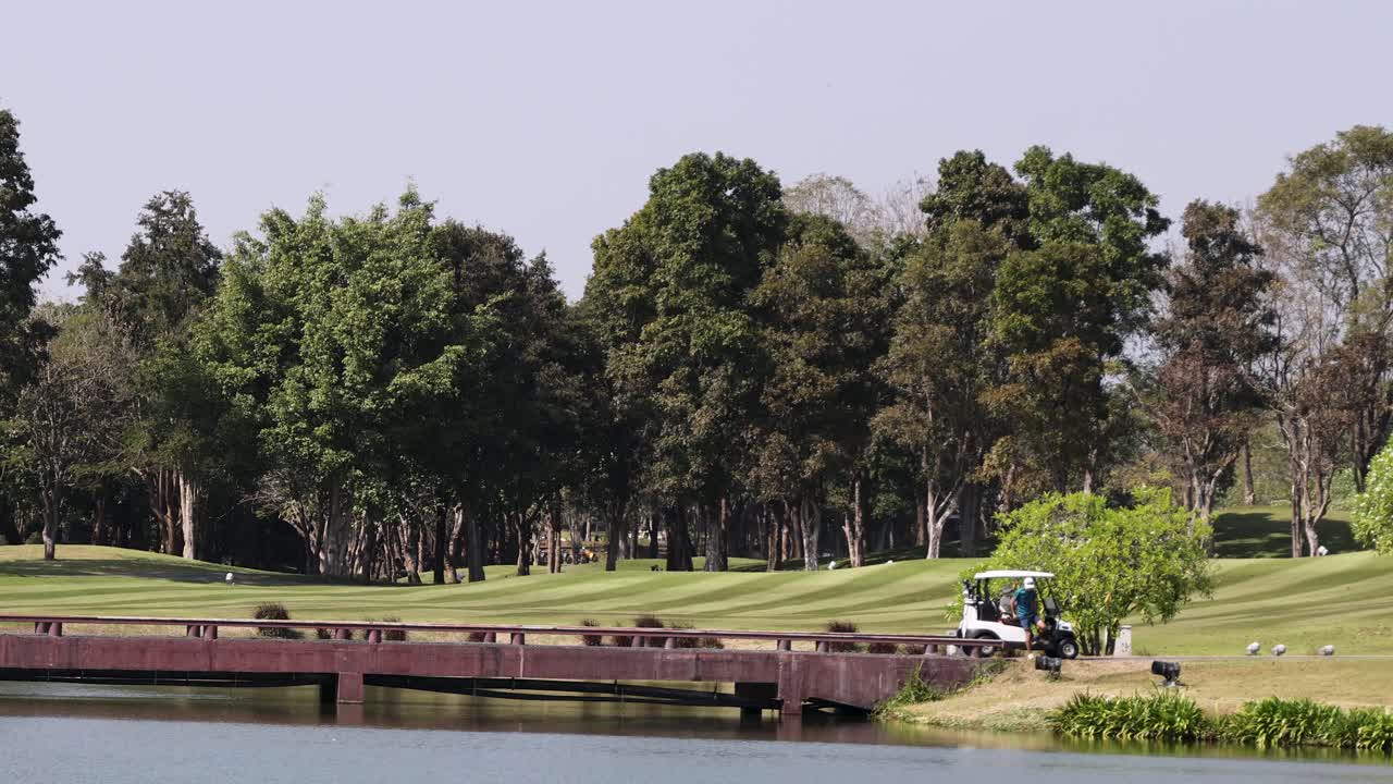 Golf carts drive across bridge on lush golf course, afternoon sunlight, steady wide shot