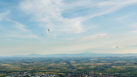 aerial landscape of tuscany hills natural environment scenario with flock of birds flying in the sky and plowed vineyard field in italy