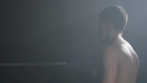 boxer in the ring