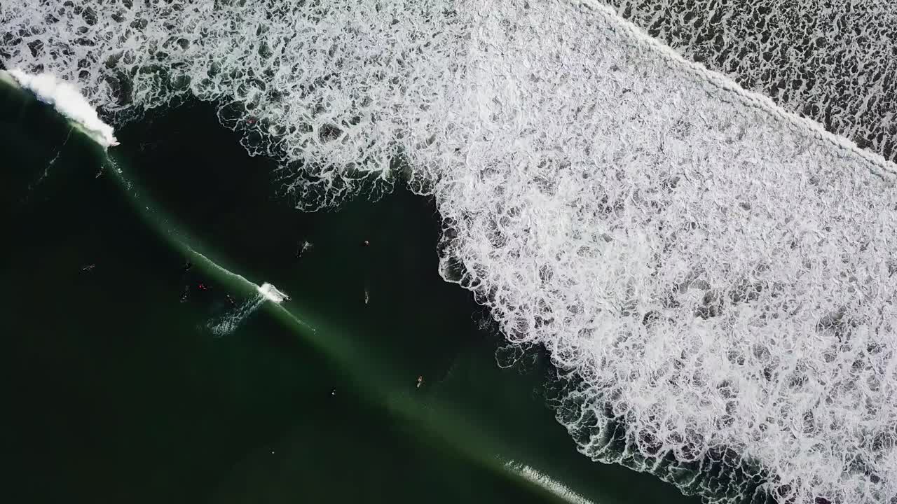 서퍼스 발리 인도네시아 이상의 비행