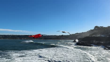 4k footage of drone flying left to right into and out of shot with large ocean waves crashing on cliffs during high tide in la jolla cove, san diego california