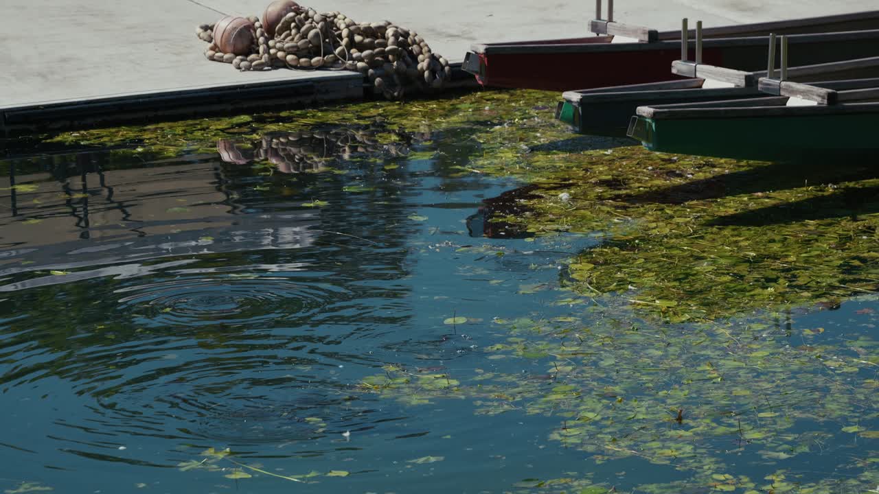 Rowing boats rest at the dock surrounded by floating aquatic plants and clear rippling water at Jarun Lake in Zagreb, Croatia