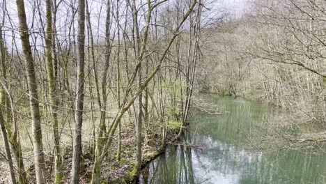 trees-lie-in-a-dead-river