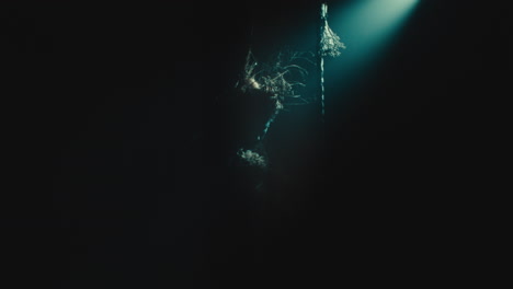 the witch makes a beckoning gesture with her hand