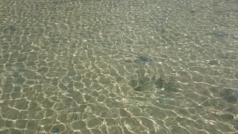 Superficie-Del-Agua-Con-Reflejo-Solar-Y-Ola-En-Movimiento-Por-El-Viento-Sobre-El-Mar-Poco-Profundo