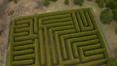 aerial drone view over a cedar hedge maze labyrinth