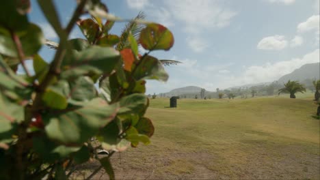 Buenavista-golf-course-on-Tenerife,-Canary-Islands-in-spring