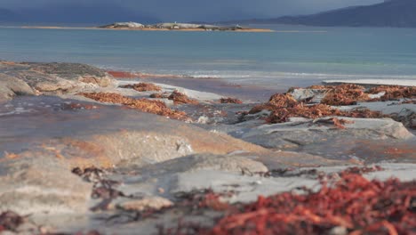 Un-Arroyo-Poco-Profundo-Fluye-Sobre-Las-Rocas-De-La-Playa-De-Arena