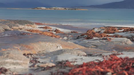 un arroyo poco profundo fluye sobre las rocas la playa de arena