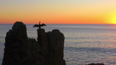 vista de la formación rocosa con cormoranes en la parte superior durante la puesta de sol en las rocas de la catedral en kiama downs, nueva gales del sur, australia - toma aérea de drones