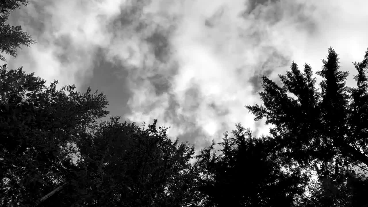 간단한 자연 배경