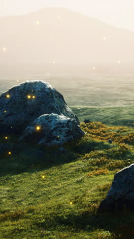 a magical landscape with grass, rocks, and mist