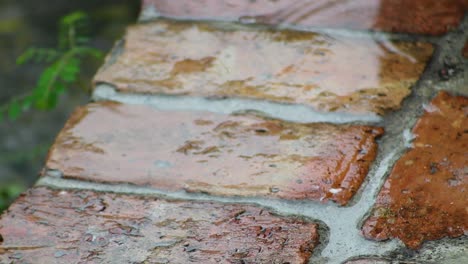 rain on old chicago brick day time close up