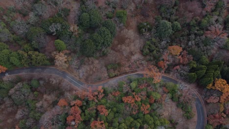 Skyline-Aerial-view-in-Mount-Wakakusa,-Nara