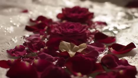 a serene bath experience enhanced by floating rose petals and gentle bubbles, creating a luxurious and romantic ambiance perfect for relaxation and pampering