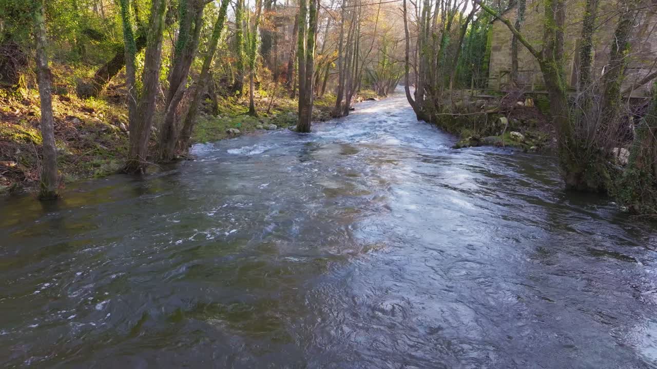 río que fluye a través del bosque de otoño en una coruña, españa