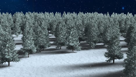 animation of fir trees, snow falling over winter landscape