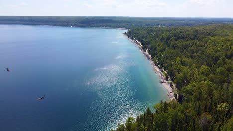 Birds-flying-above-forest-and-lake-in-Bruce-peninsula,-aerial-view