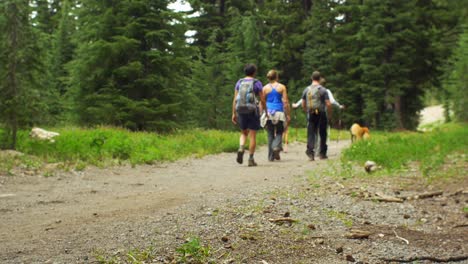 hikers walk away from camera