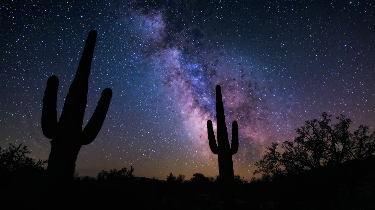 Prise de vue en accéléré d’une caméra capturant deux cactus saguaro dans le désert la nuit, montrant le mouvement de la Voie lactée