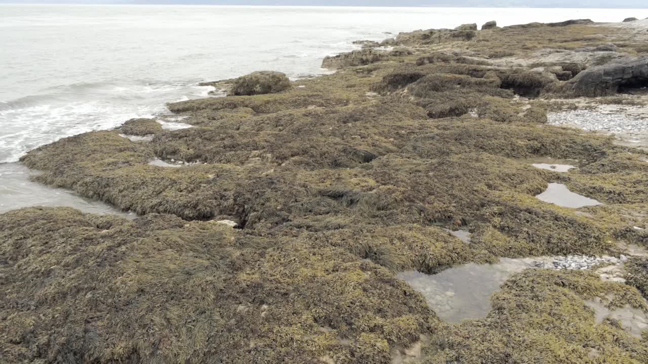 vista aérea de ángulo bajo hacia atrás sobre la costa rocosa de algas marinas paisaje marino de la piscina de rocas