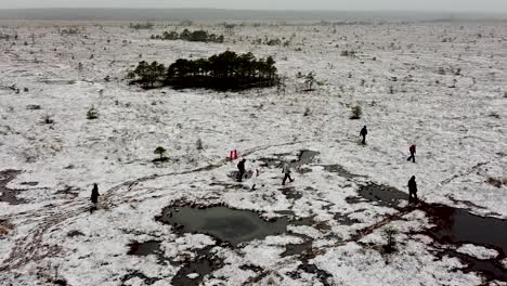 Vista-Aérea-De-Drones-De-Personas-Caminando-En-Un-Paisaje-Pantanoso-Congelado-En-Valgeraba,-Soomaa-En-Estonia