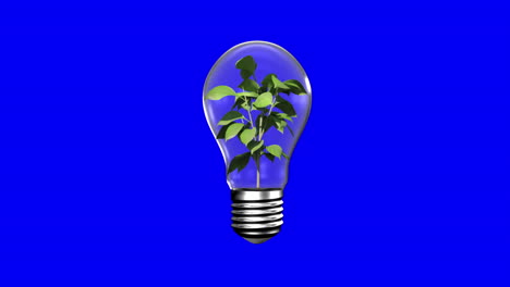 light bulb with growing plant